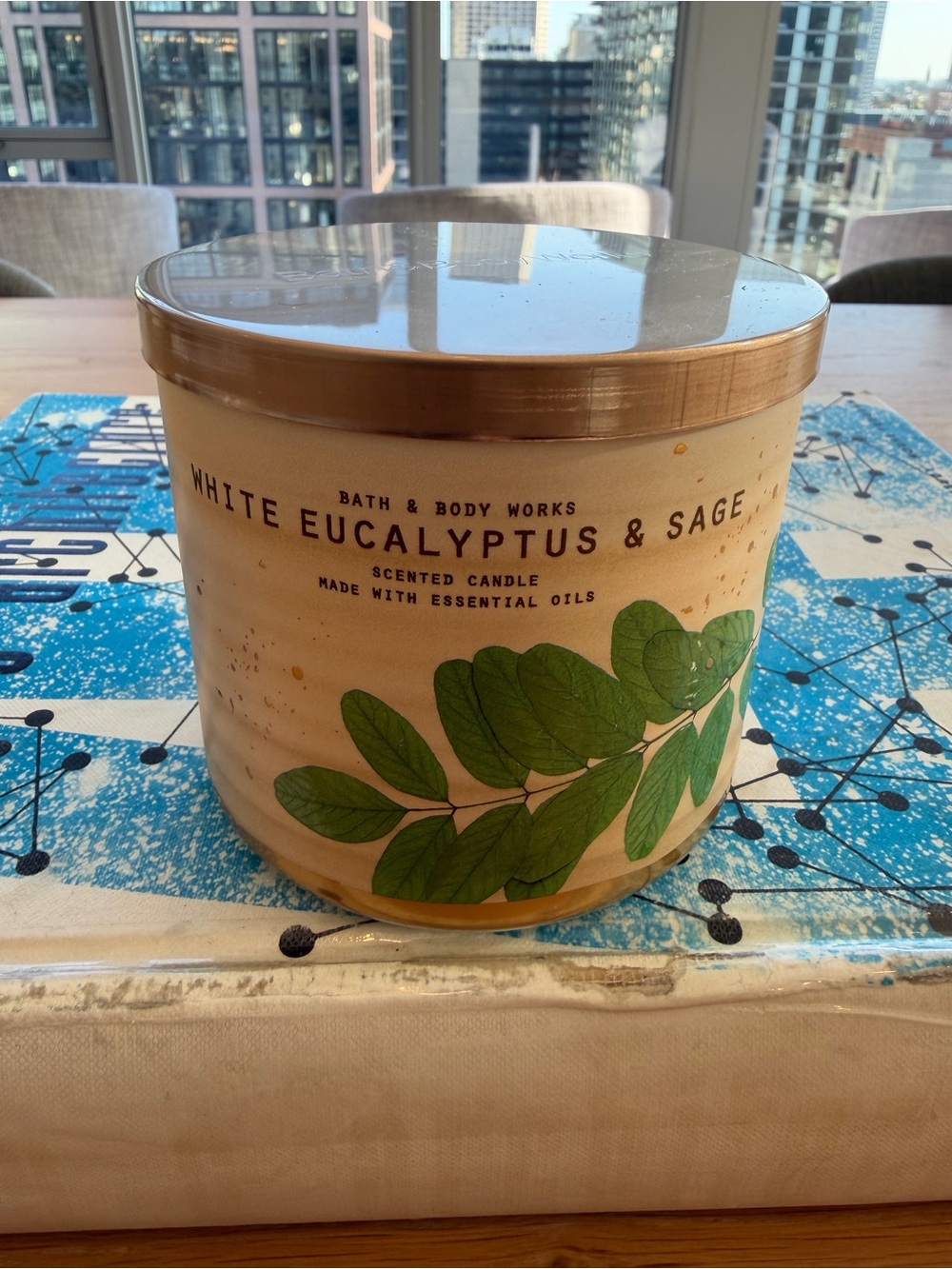 Bath & Body Works White Eucalyptus & Sage Scented 3 Wick Candle - Green Leaves